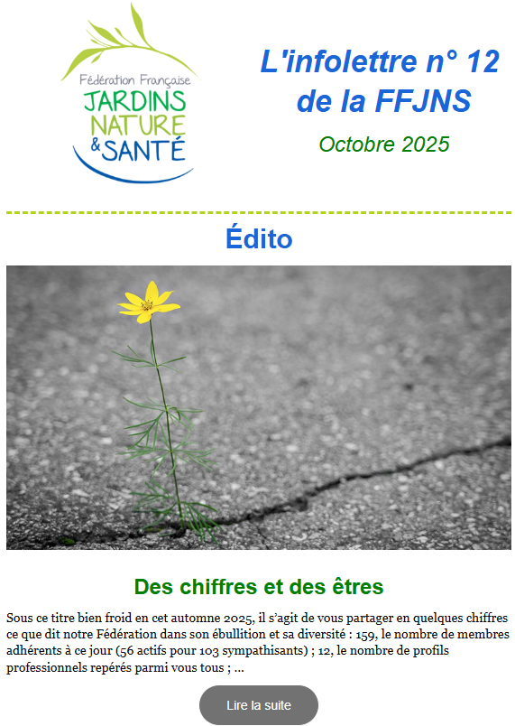 Infolettre N8 1