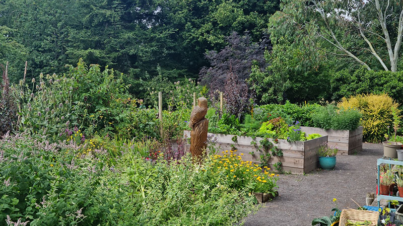 Ninewells Community Garden Dundee Ecosse