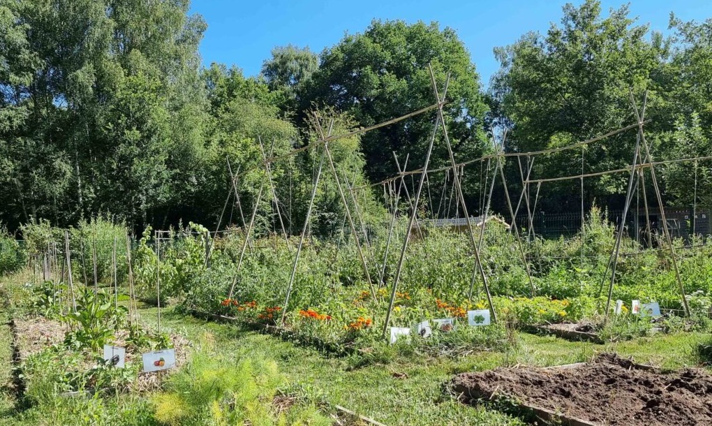 ACTUS. Concours national des Jardins Potagers les potagers thérapeutiques à lhonneur