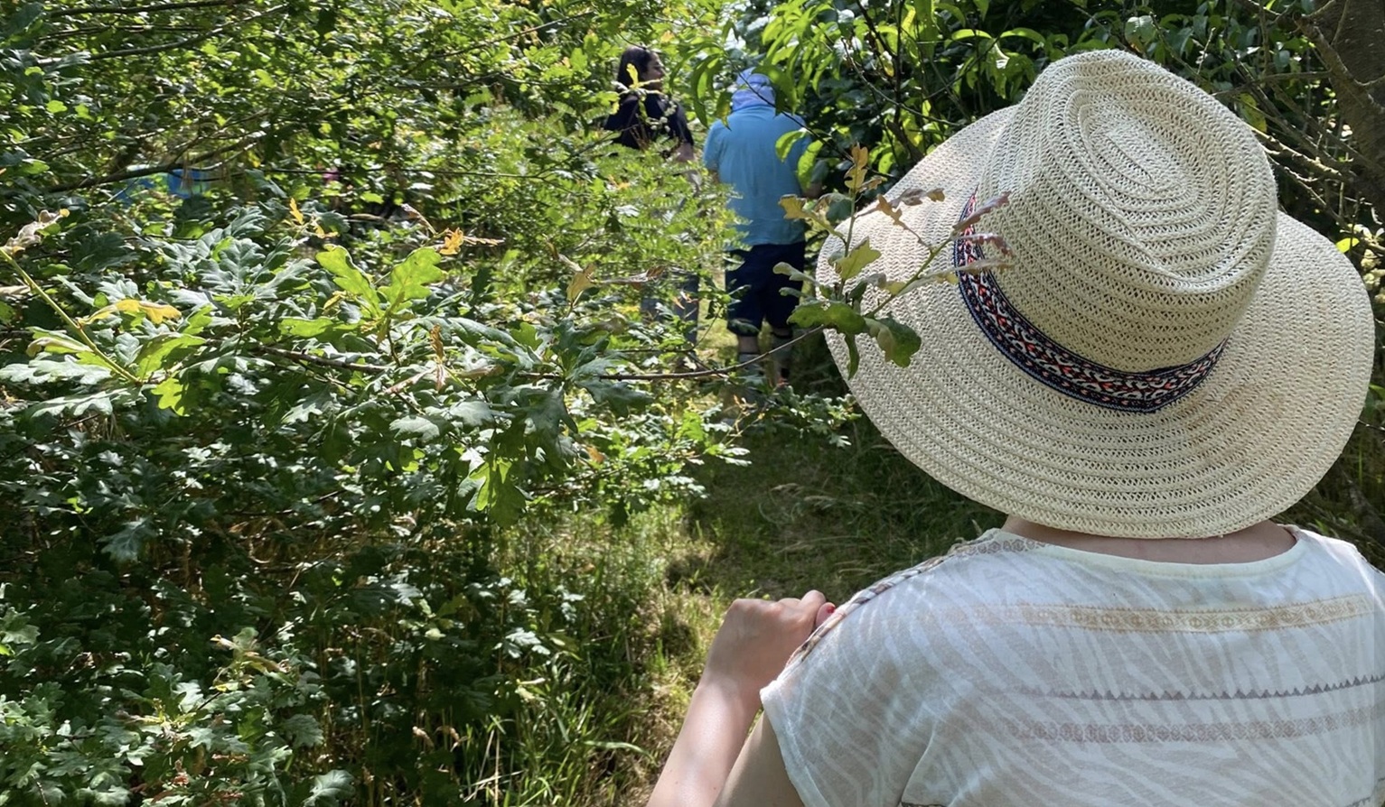 TEMOIGNAGES La prescription de nature des initiatives françaises isolées à soutenir