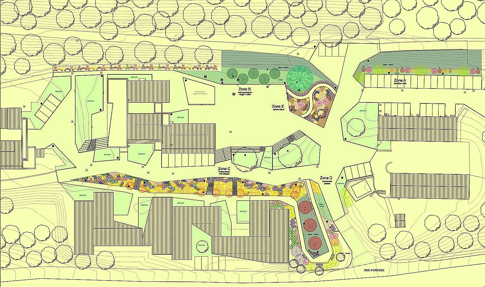 Alexandra Nafpliotis 